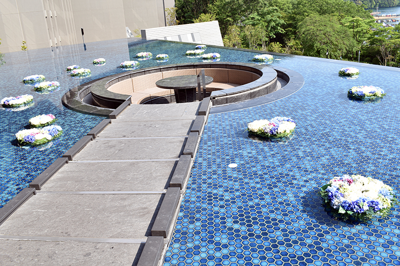 Hanaori hotel, Hakone